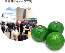 おおいたの食の参加型イベント おんせん県おおいた「地獄蒸し祭りin東京タワー」2025　開幕